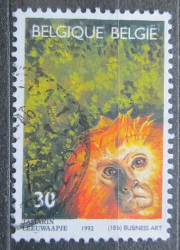 Poštovní známka Belgie 1992 Lvíèek zlatohlavý Mi# 2539