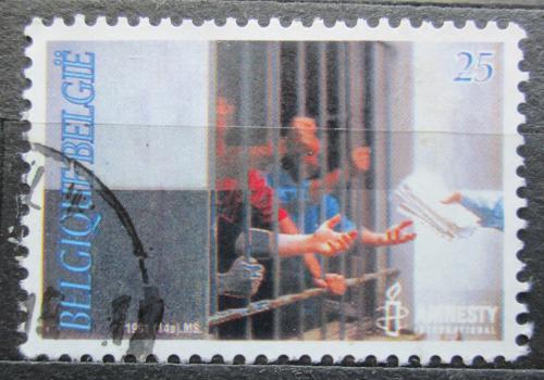 Poštovní známka Belgie 1991 Amnesty Intl., 30. výroèí Mi# 2474