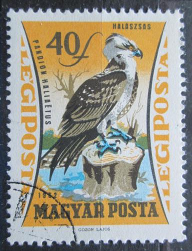 Poštovní známka Maïarsko 1962 Orlovec øíèní Mi# 1882