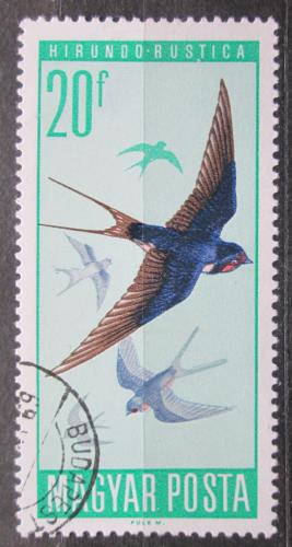 Poštovní známka Maïarsko 1966 Vlaštovka obecná Mi# 2231