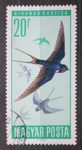Poštovní známka Maïarsko 1966 Vlaštovka obecná Mi# 2231