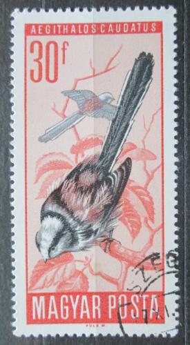 Poštovní známka Maïarsko 1966 Mlynaøík dlouhoocasý Mi# 2232