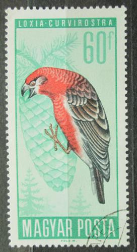 Poštovní známka Maïarsko 1966 Køivka obecná Mi# 2233