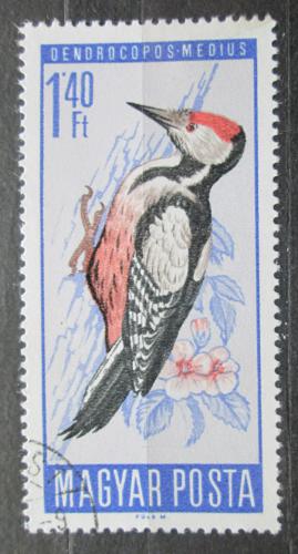 Poštovní známka Maïarsko 1966 Strakapoud prostøední Mi# 2234