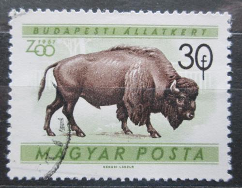 Poštovní známka Maïarsko 1961 Bizon americký Mi# 1728