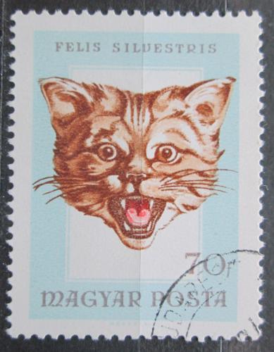 Poštovní známka Maïarsko 1966 Divoká koèka Mi# 2257