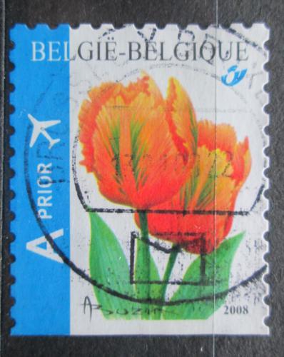 Poštovní známka Belgie 2008 Tulipány Mi# 3833 Do