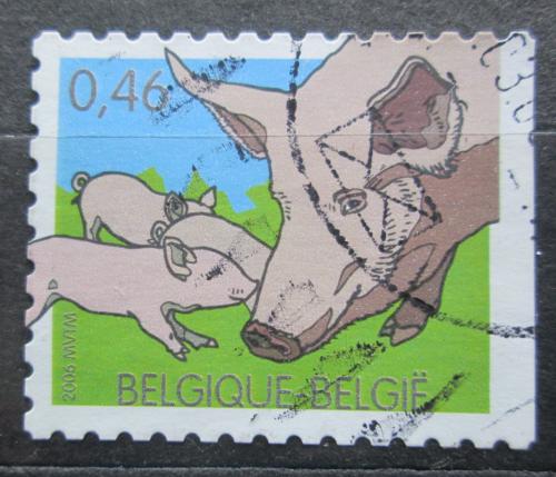Poštovní známka Belgie 2006 Prase Mi# 3532