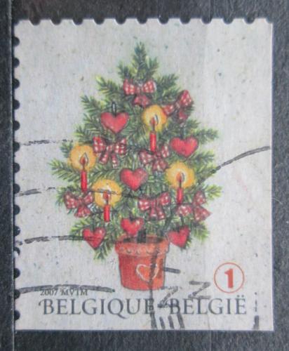 Poštovní známka Belgie 2007 Vánoèní stromeèek Mi# 3781 Eu
