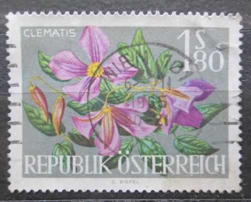 Poštovní známka Rakousko 1964 Plamének Mi# 1147