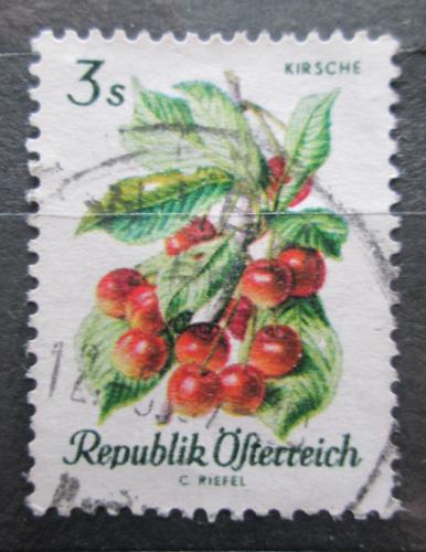 Poštovní známka Rakousko 1966 Tøešnì Mi# 1228