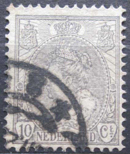 Poštovní známka Nizozemí 1899 Královna Wilhelmina Mi# 56 A