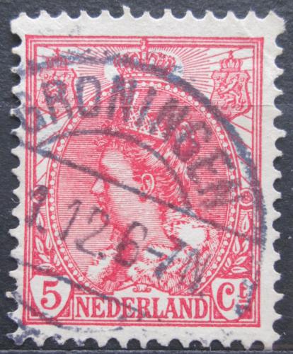 Poštovní známka Nizozemí 1899 Královna Wilhelmina Mi# 54 A