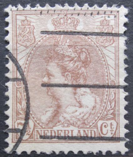 Poštovní známka Nizozemí 1899 Královna Wilhelmina Mi# 55 A