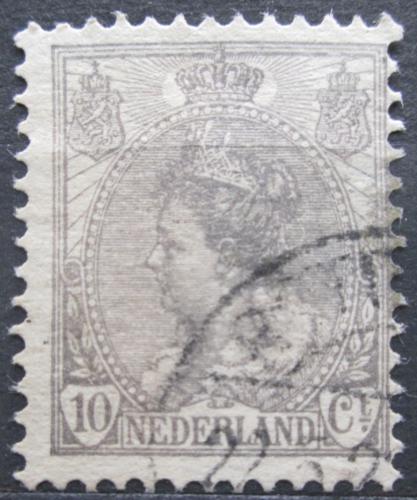 Poštovní známka Nizozemí 1899 Královna Wilhelmina Mi# 56 A