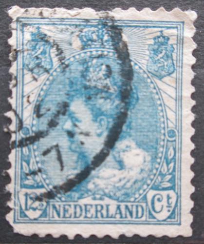 Poštovní známka Nizozemí 1899 Královna Wilhelmina Mi# 57 A