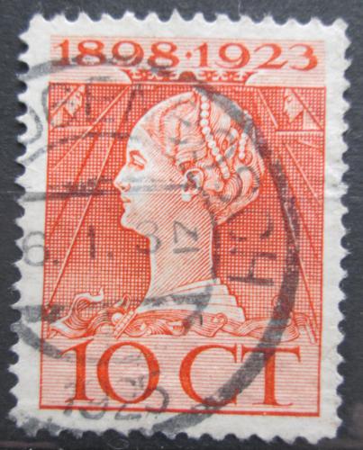 Poštovní známka Nizozemí 1923 Královna Wilhelmina Mi# 126