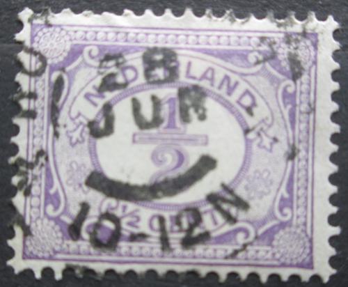 Poštovní známka Nizozemí 1899 Nominální hodnota Mi# 49