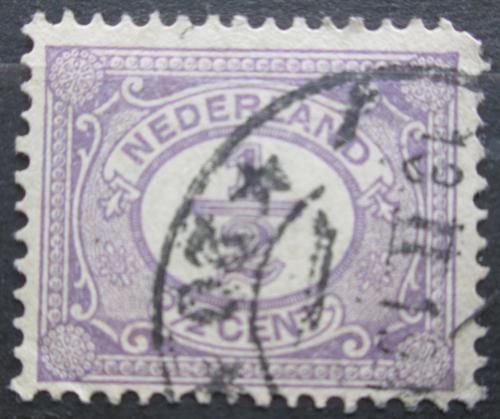 Poštovní známka Nizozemí 1899 Nominální hodnota Mi# 49
