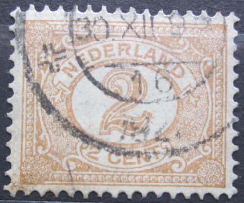 Poštovní známka Nizozemí 1899 Nominální hodnota Mi# 51
