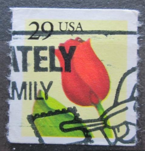 Potovn znmka USA 1991 Tulipn Mi# 2125 L