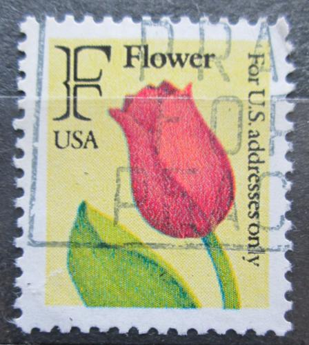 Potovn znmka USA 1991 Tulipn Mi# 2116 A