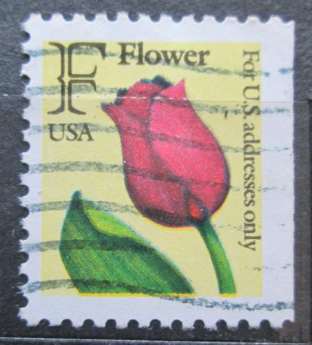 Potovn znmka USA 1991 Tulipn Mi# 2116 D