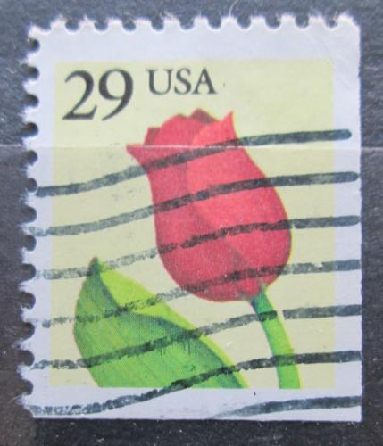 Potovn znmka USA 1991 Tulipn Mi# 2125 E