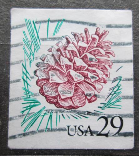 Poštovní známka USA 1993 Šiška borovice Mi# 2424