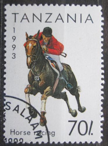 Poštovní známka Tanzánie 1993 Dostihy Mi# 1469