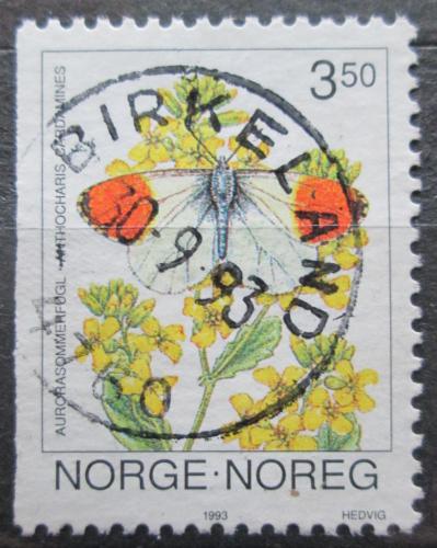 Poštovní známka Norsko 1993 Bìlásek øeøichový Mi# 1114
