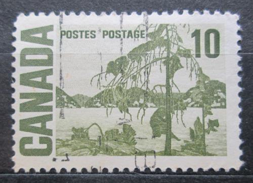 Poštovní známka Kanada 1967 The Jack Pine Mi# 404