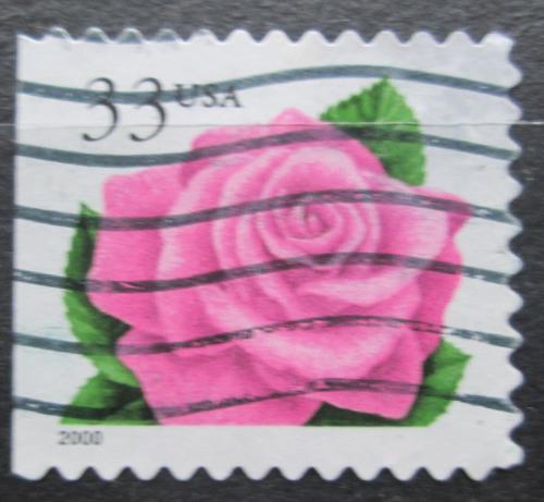 Poštovní známka USA 1999 Rùže Mi# 3156 IBD