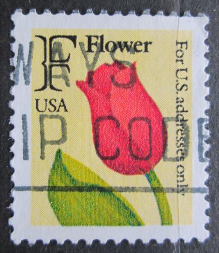 Poštovní známka USA 1991 Tulipán Mi# 2116 A