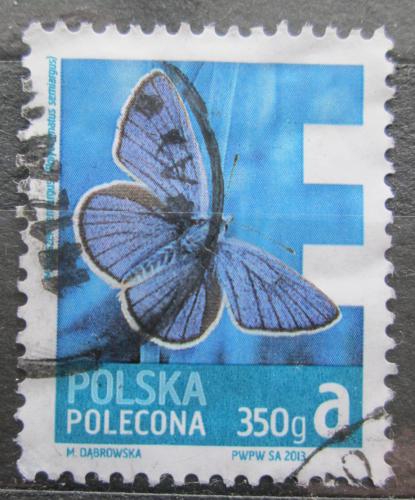 Poštovní známka Polsko 2013 Modrásek lesní Mi# 4627