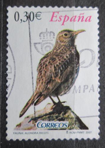 Poštovní známka Španìlsko 2007 Skøivan Dupontùv Mi# 4258