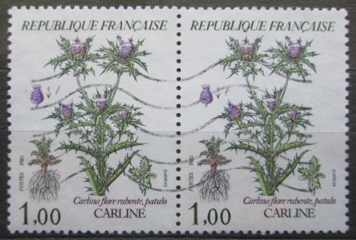Poštovní známky Francie 1983 Carlina flore rubente pár Mi# 2392