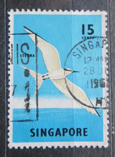 Poštovní známka Singapur 1966 Rybák bìlotemenný Mi# 61