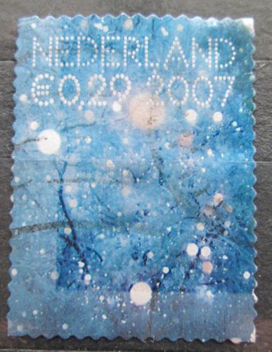 Poštovní známka Nizozemí 2007 Snìhové vloèky Mi# 2531