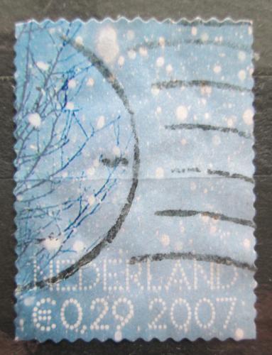 Poštovní známka Nizozemí 2007 Snìhové vloèky Mi# 2535