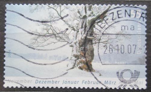 Poštovní známka Nìmecko 2006 Zima Mi# 2577