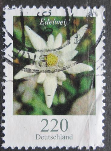 Poštovní známka Nìmecko 2006 Plesnivec alpský Mi# 2530 Kat 4.20€