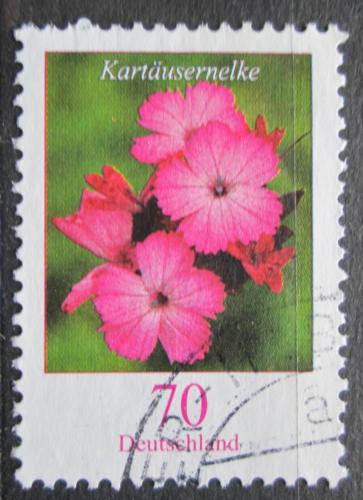 Poštovní známka Nìmecko 2006 Hvozdík kartouzek Mi# 2529