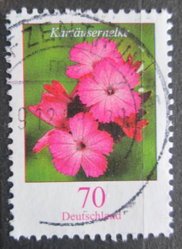 Poštovní známka Nìmecko 2006 Hvozdík kartouzek Mi# 2529