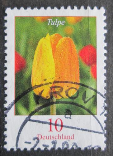 Poštovní známka Nìmecko 2005 Tulipán Mi# 2484 A