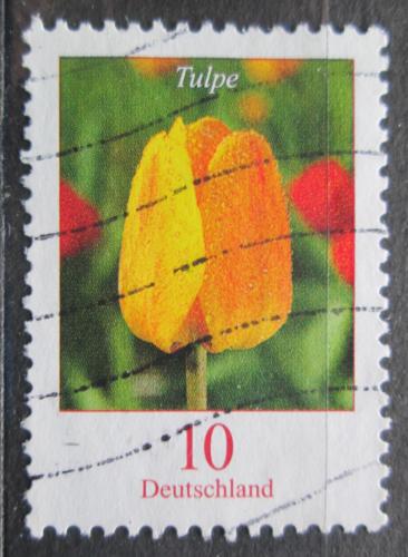 Poštovní známka Nìmecko 2005 Tulipán Mi# 2484 A
