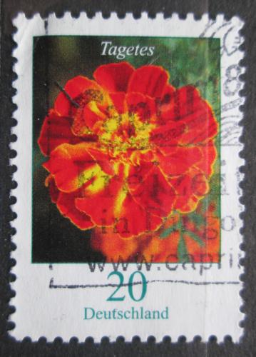 Poštovní známka Nìmecko 2005 Aksamitník vzpøímený Mi# 2471