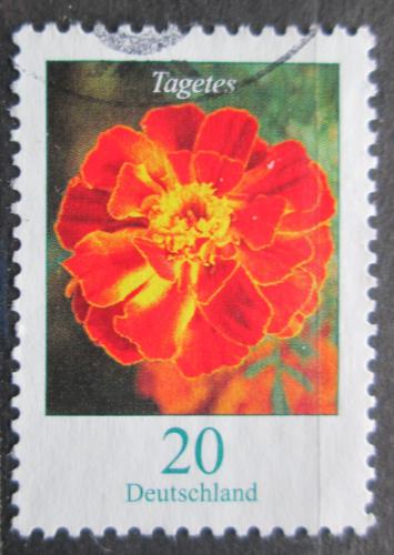 Poštovní známka Nìmecko 2005 Aksamitník vzpøímený Mi# 2471
