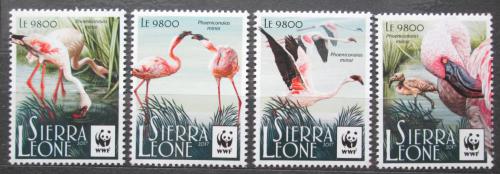 Poštovní známky Sierra Leone 2017 Plameòák malý, WWF Mi# 8530-33 Kat 16€