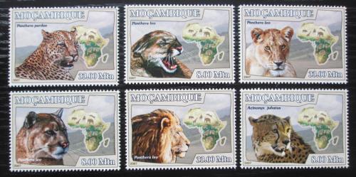 Poštovní známky Mosambik 2007 Koèkovité šelmy Mi# 3032-37 Kat 10€